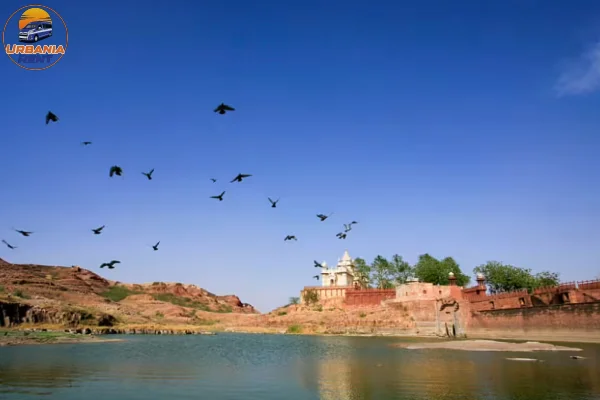 Balsamand Lake in Jodhpur Balsamand Lake in Jodhpur