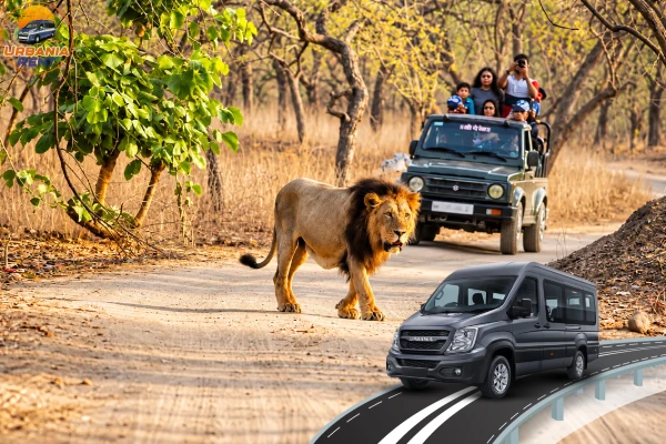 Rajkot to Sasan Gir by Urbania Van Rajkot to Sasan Gir by Urbania Van