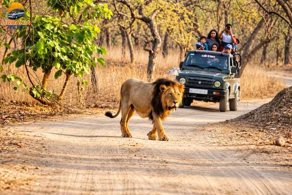 Sasan Gir National Park Sasan Gir National Park